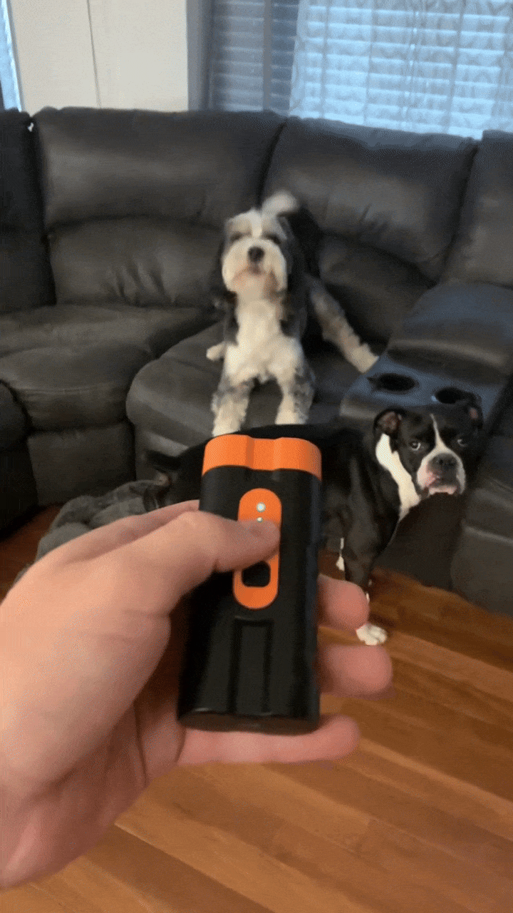 CalmDog Bark Control