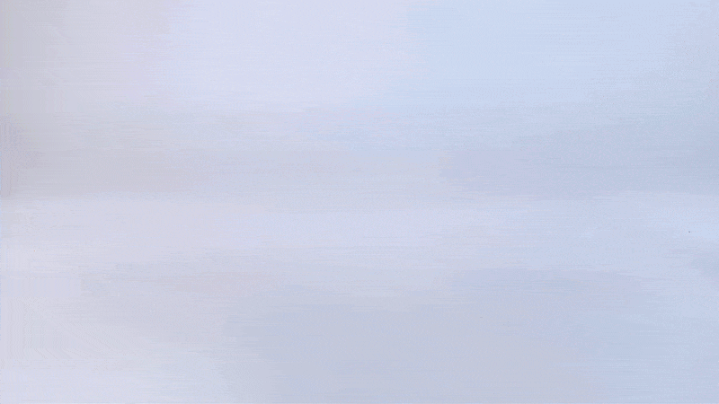 CalmDog Bark Control